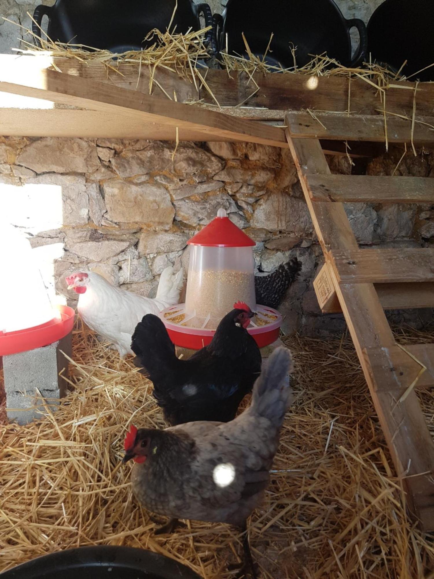 Posada Condado De La Mota موغرو المظهر الخارجي الصورة